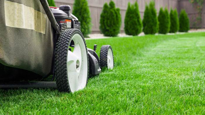 Keys to the Perfect Lawns – Guide To Green Lawns